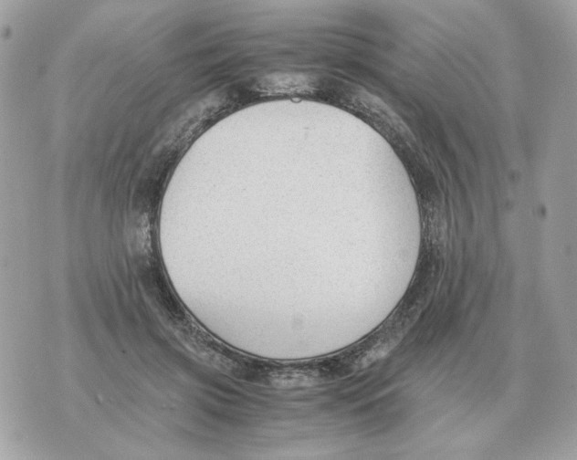 X0000070370549200607072131