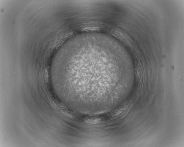 X0000070370551200607072131