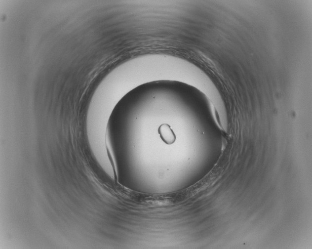 X0000070370552200607072131