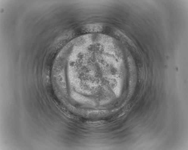 X0000070370553200607072131