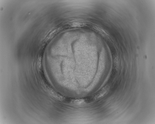 X0000070370554200607072131