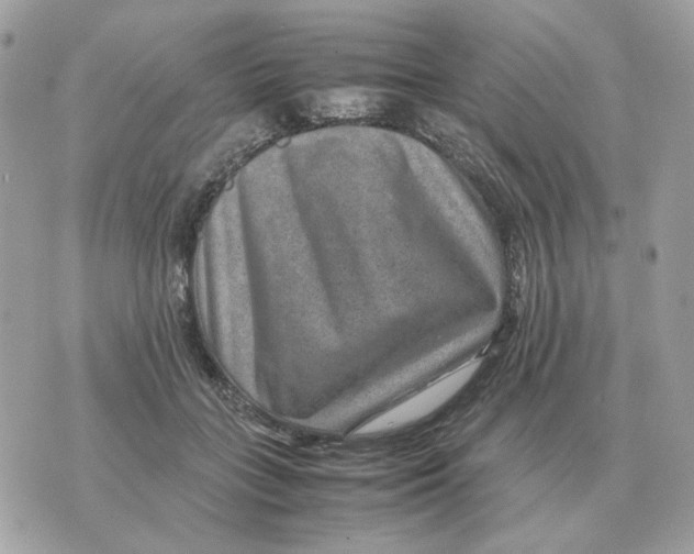 X0000070370555200607072131