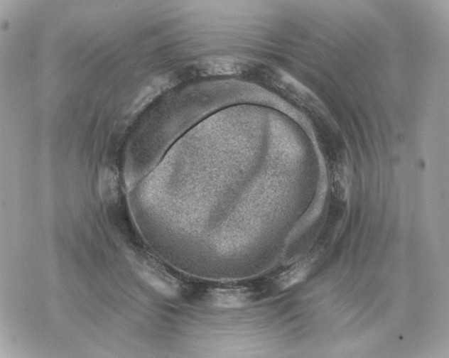 X0000070370556200607072131