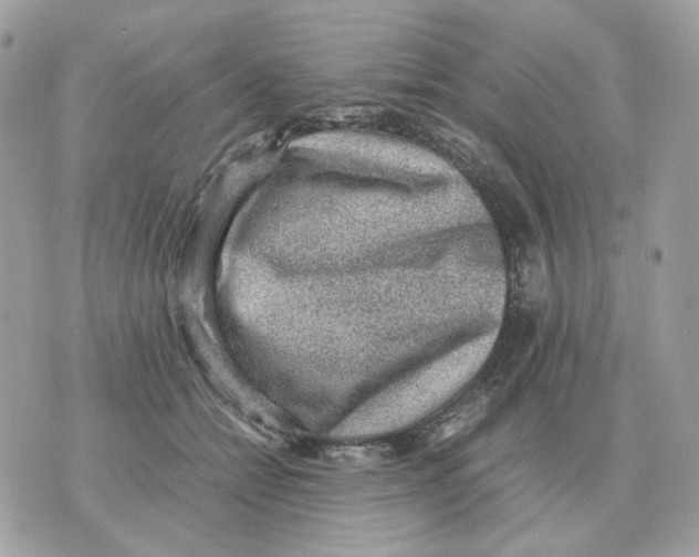 X0000070370558200607072131