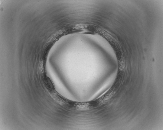 X0000070370560200607072131