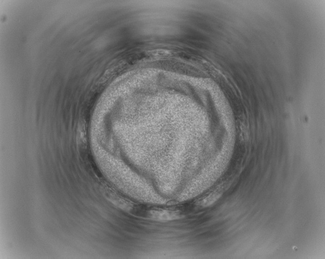 X0000070370561200607072131