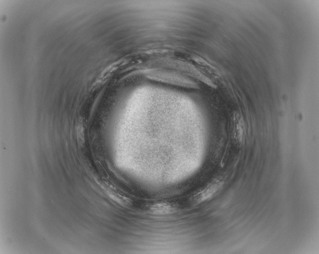 X0000070370562200607072131