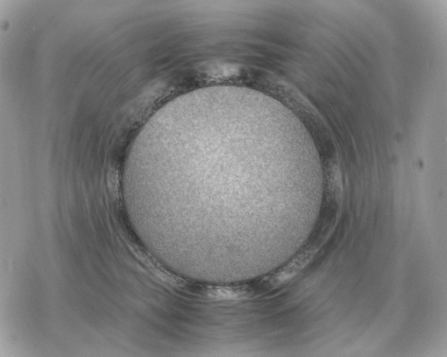 X0000070370565200607072131