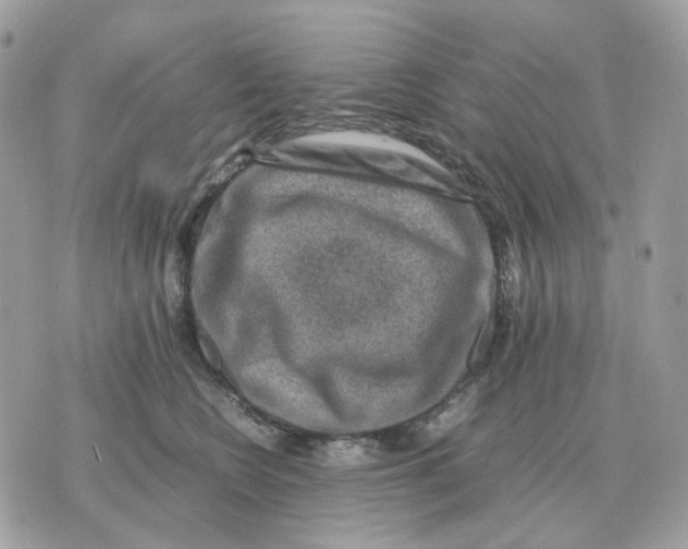 X0000070370566200607072131