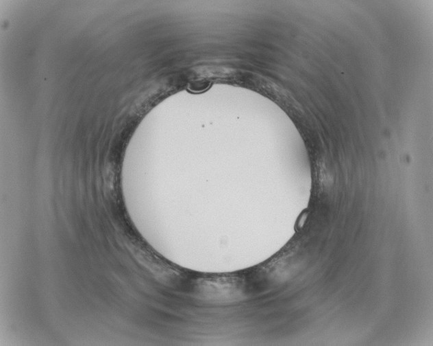 X0000070370567200607072131