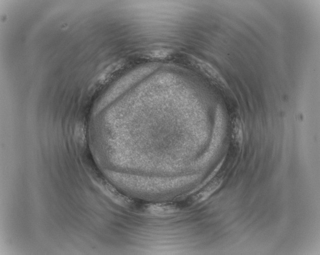 X0000070370568200607072131