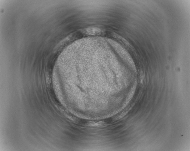 X0000070370569200607072131