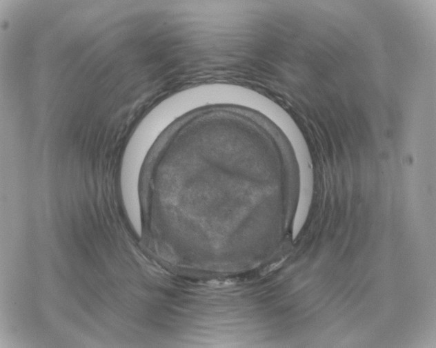 X0000070370570200607072131