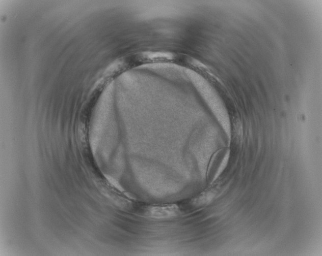 X0000070370571200607072131