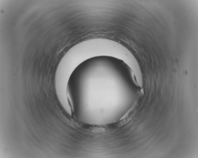 X0000070370572200607072131