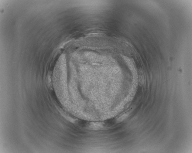 X0000070370573200607072131