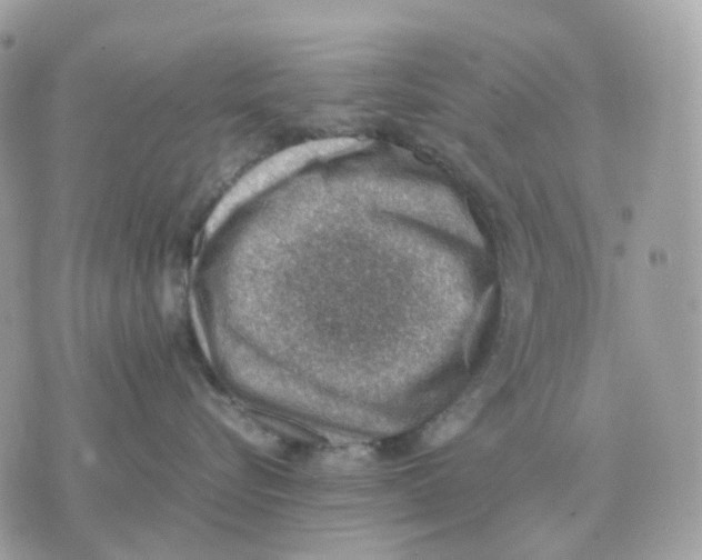 X0000070370576200607072131