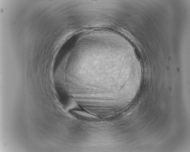 X0000070370577200607072131