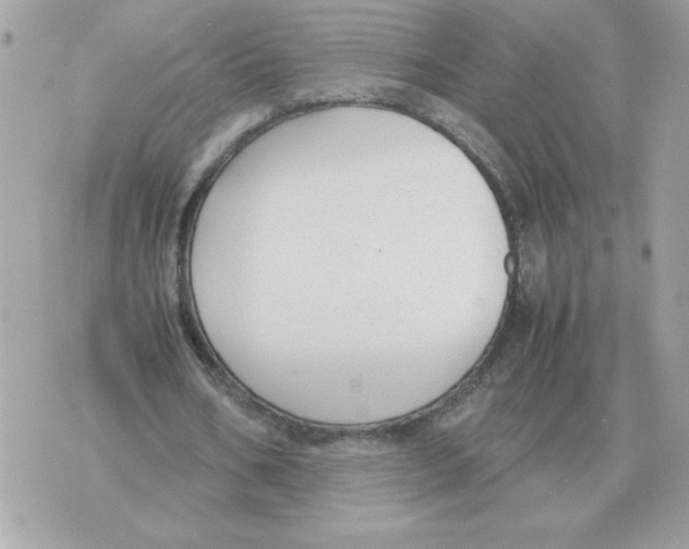 X0000070370578200607072131