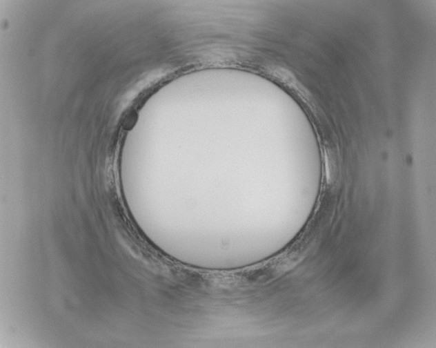 X0000070370579200607072131