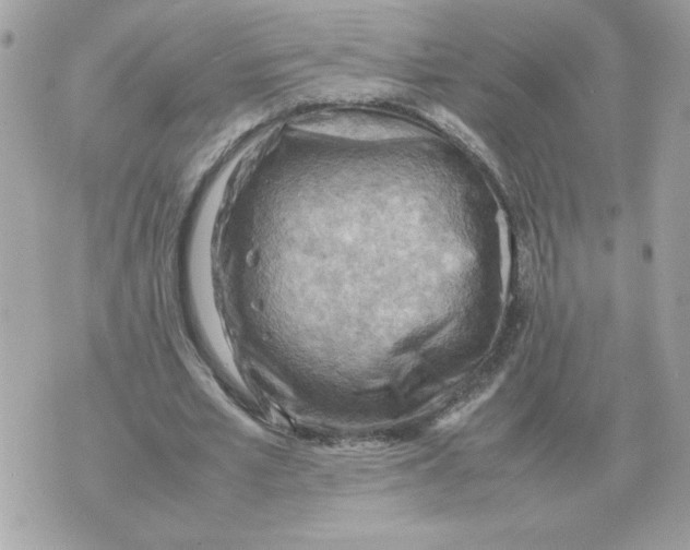 X0000070370581200607072131