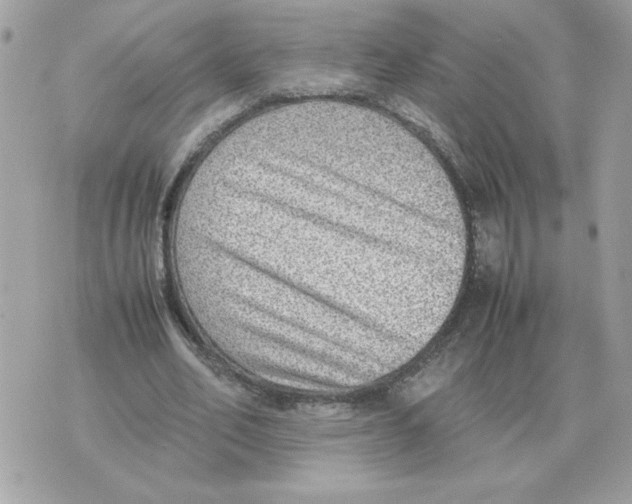 X0000070370582200607072131