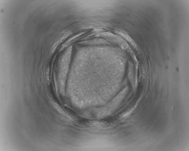 X0000070370585200607072130