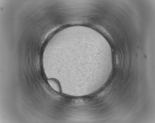 X0000070370588200607072130