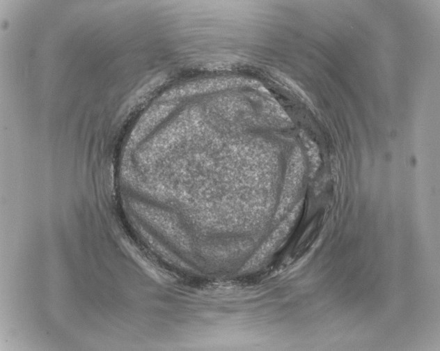 X0000070370589200607072130