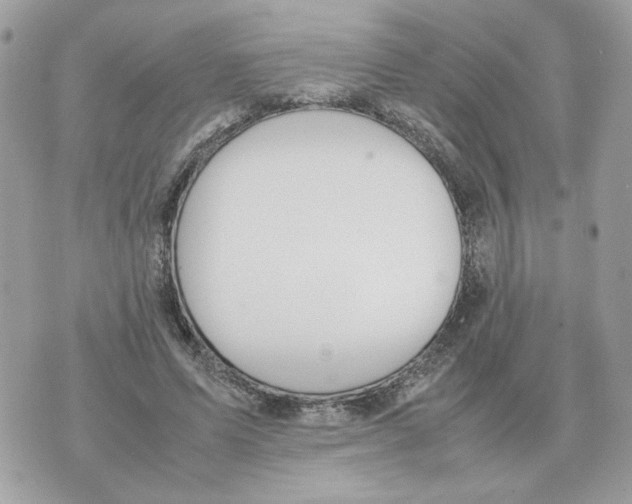 X0000070370591200607072130