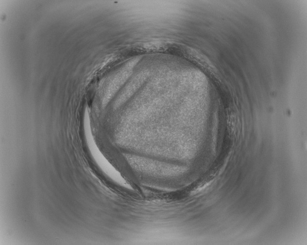 X0000070370593200607072130