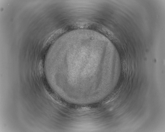 X0000070370594200607072130