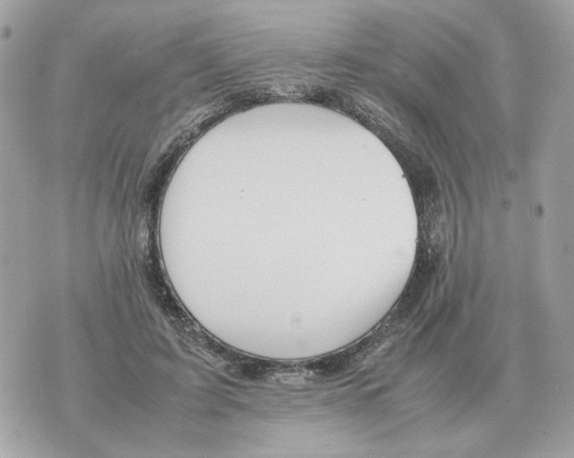 X0000070370595200607072130