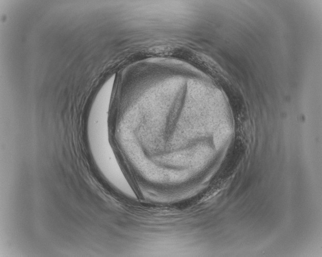 X0000070370597200607072130