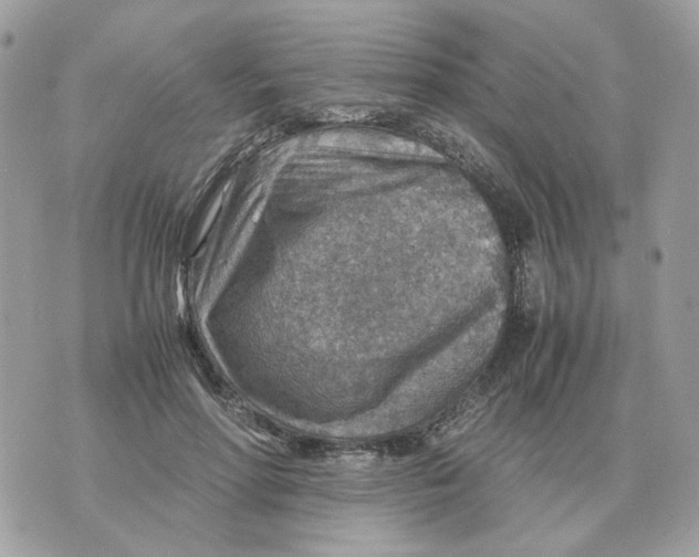 X0000070370598200607072130