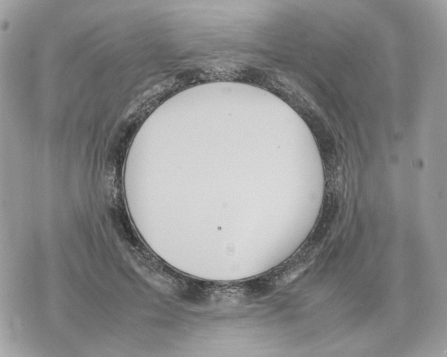 X0000070370599200607072130