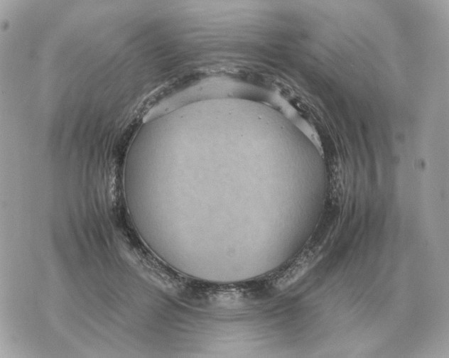 X0000070370600200607072130