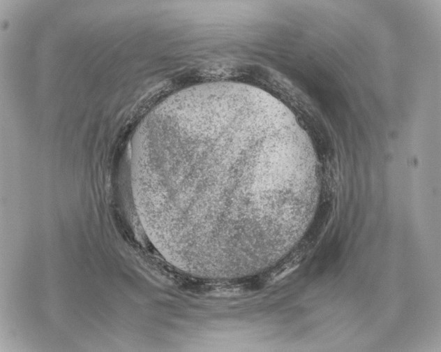 X0000070370601200607072130