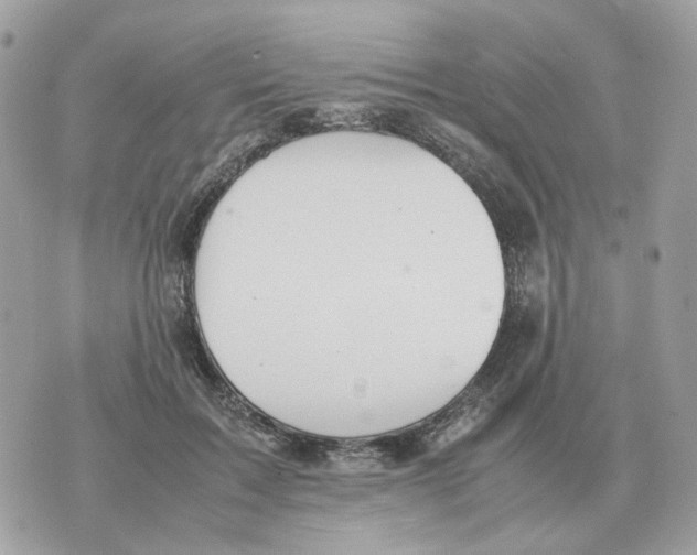 X0000070370603200607072130