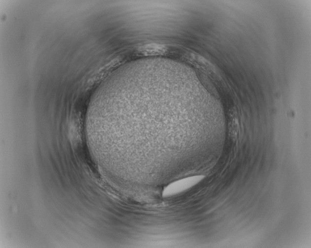 X0000070370604200607072130