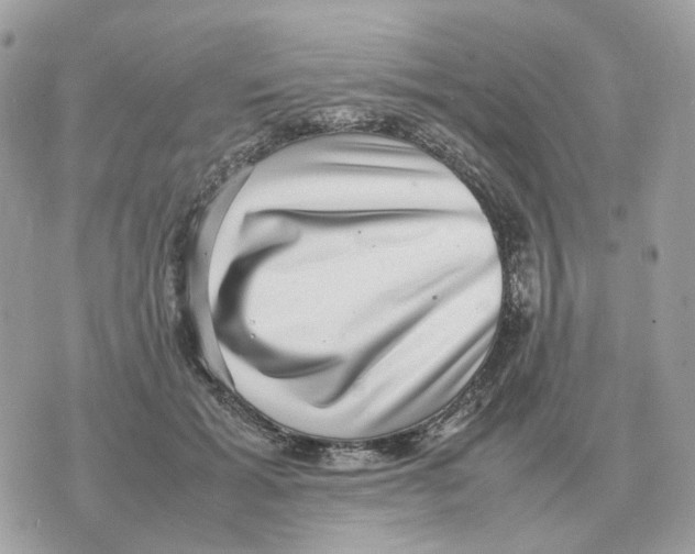 X0000070370605200607072130