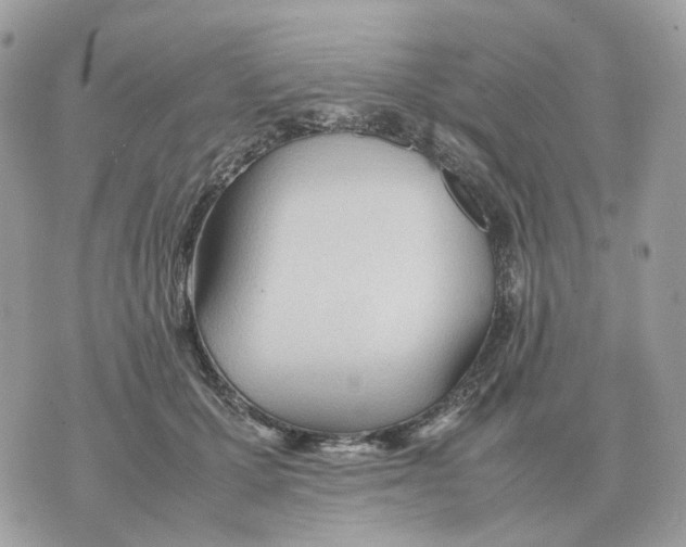 X0000070370607200607072130