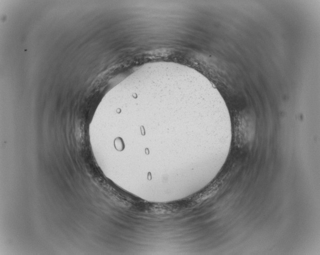 X0000070370608200607072130