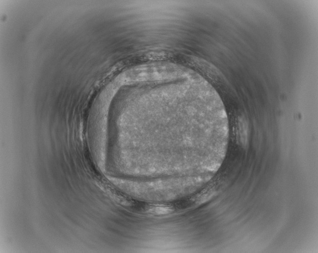 X0000070370610200607072130