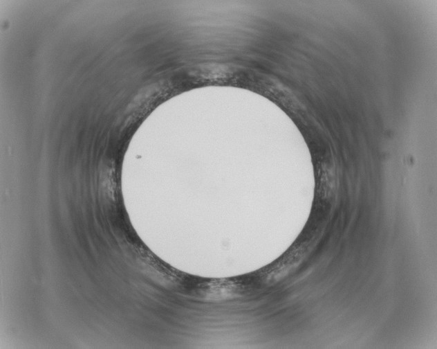 X0000070370612200607072130