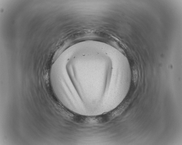 X0000070370613200607072130