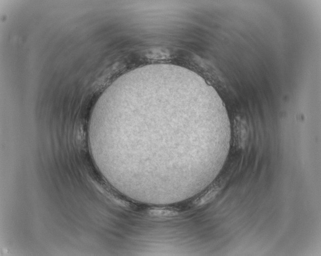 X0000070370614200607072130