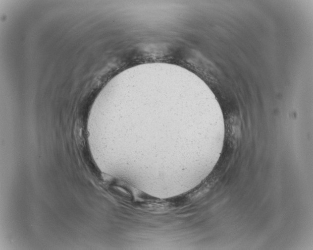 X0000070370615200607072130