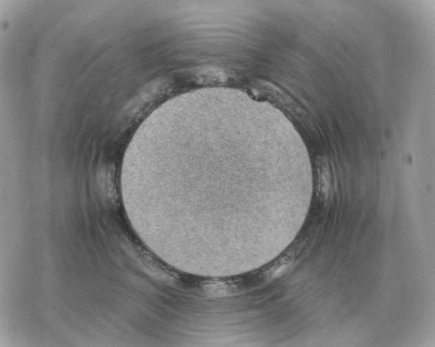 X0000070370616200607072130