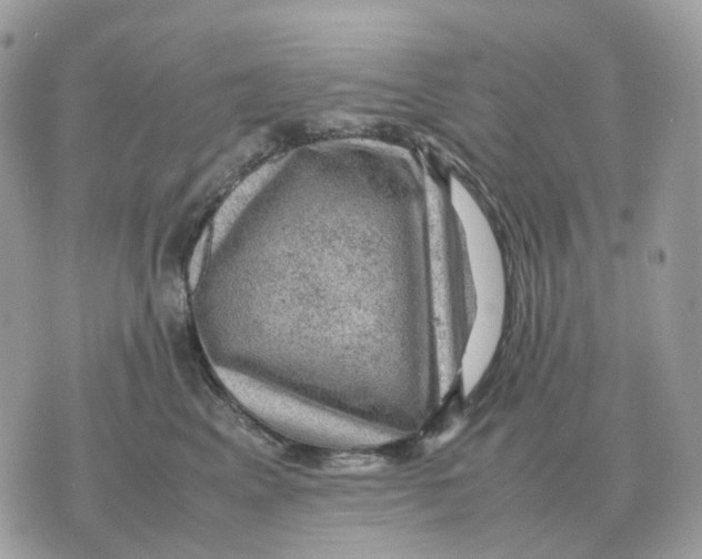 X0000070370617200607072130